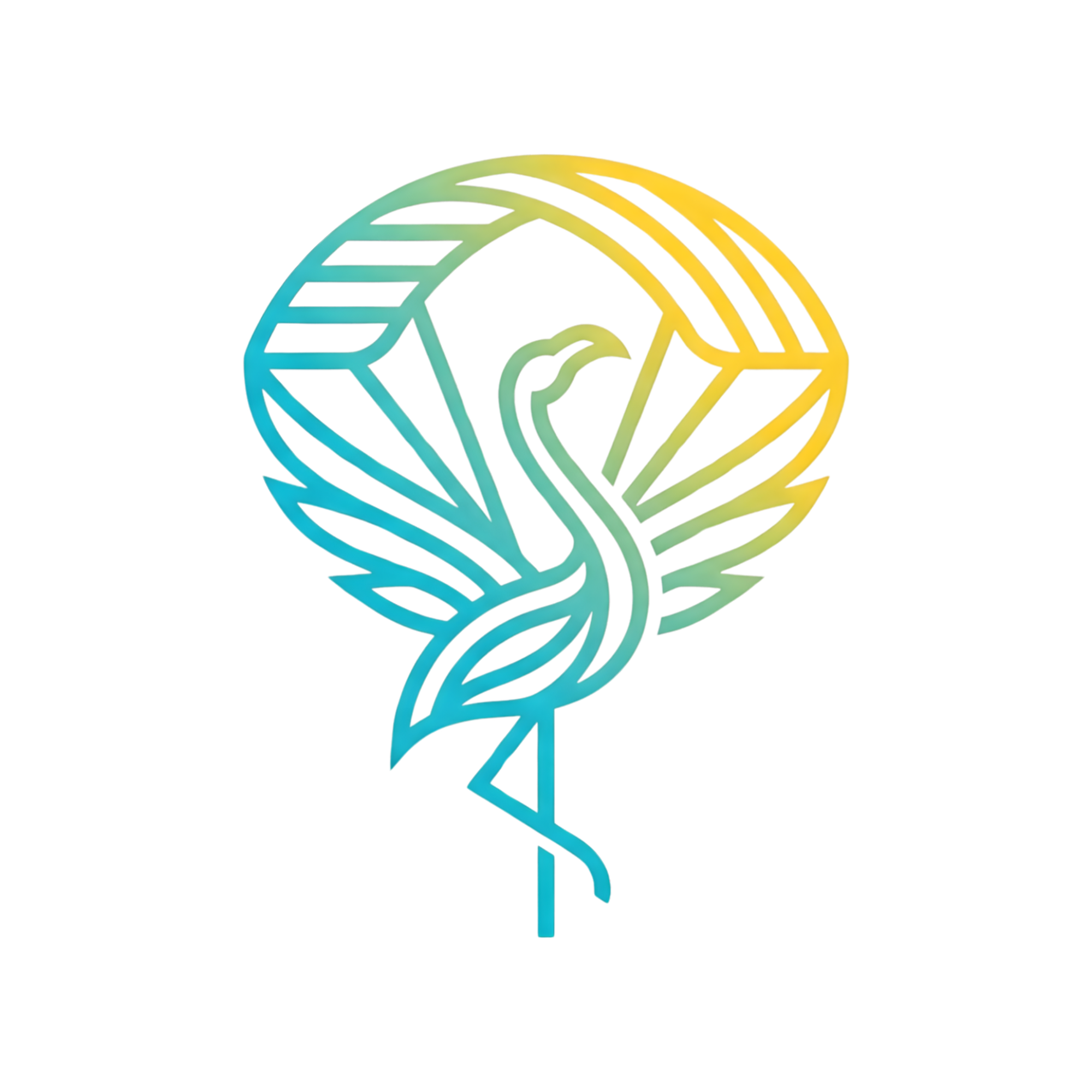 Bahamas Parachute Association